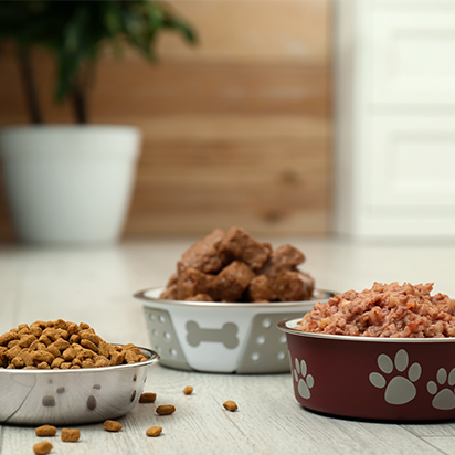 themenwelt bubblenavi nass trocken futter 412x412